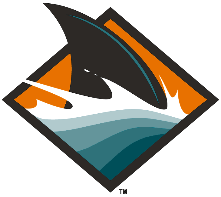 San Jose Sharks 2008 Alternate Logo v3 DIY iron on transfer (heat transfer)